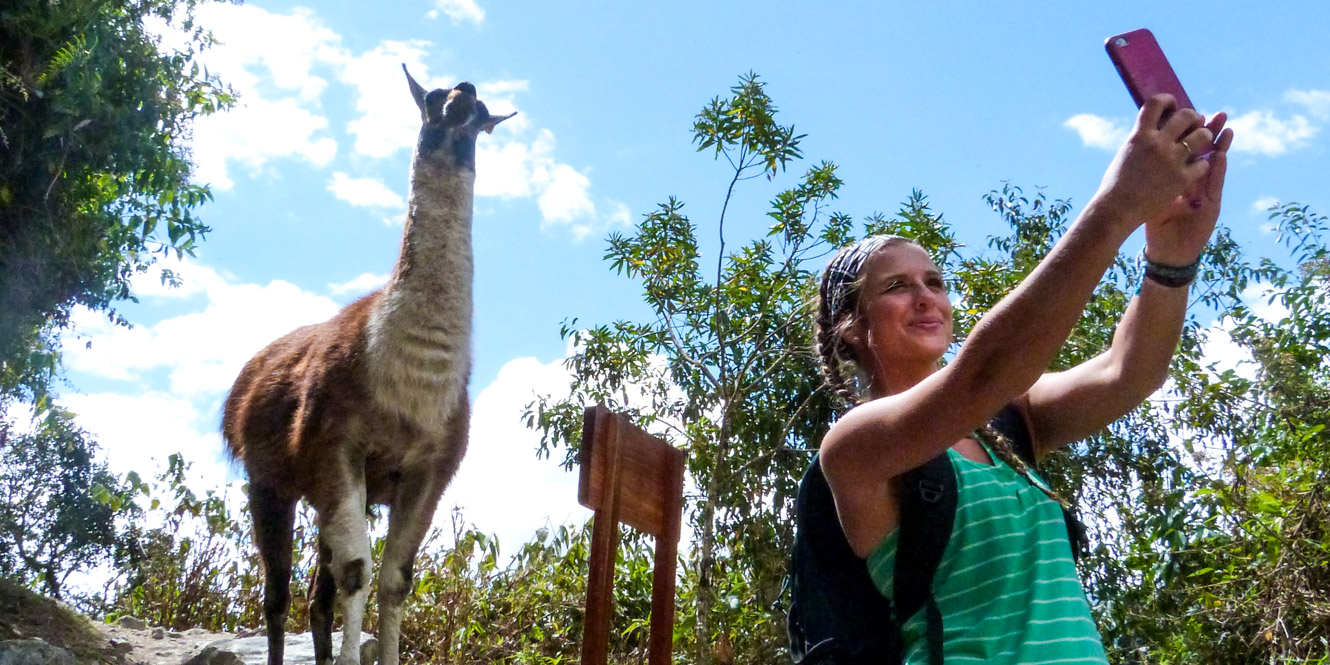 Woman takes selfie with llama in Peru