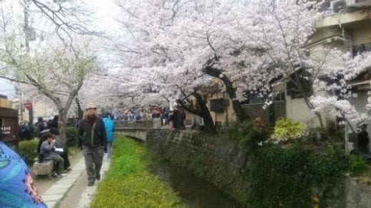 Stroll along the Philosopher's Walk