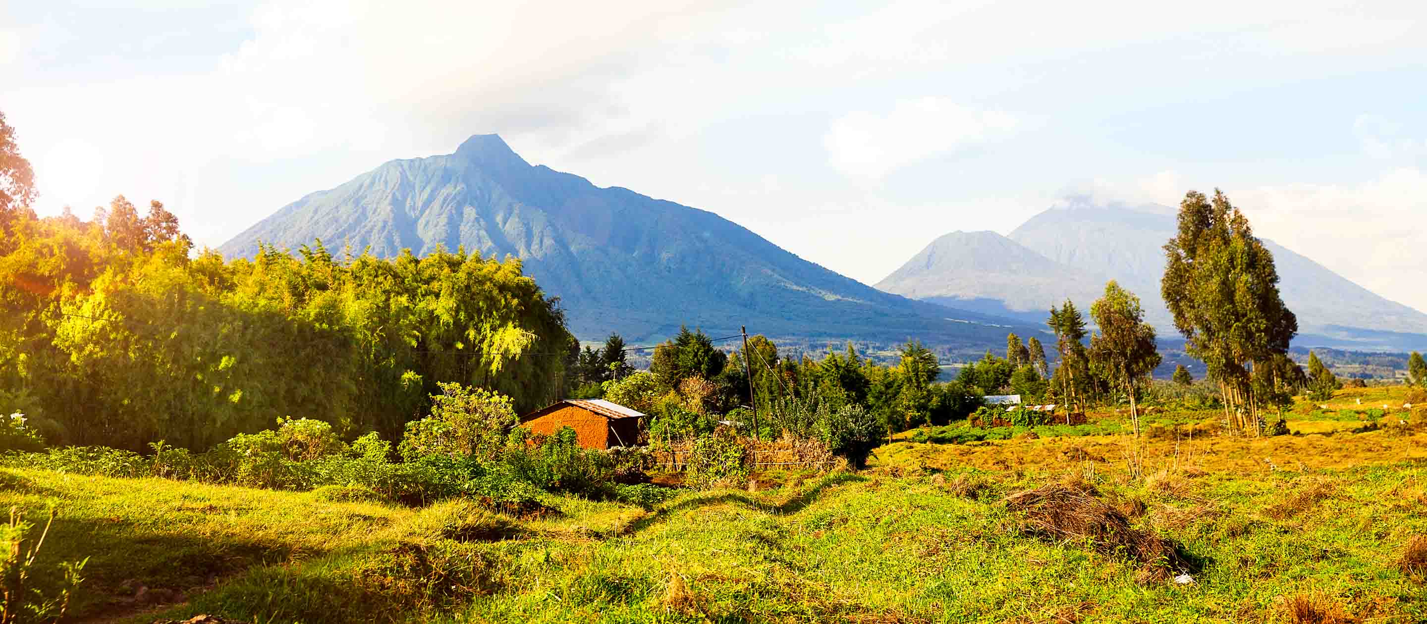 Volcanes National Park landscape in Rwanda