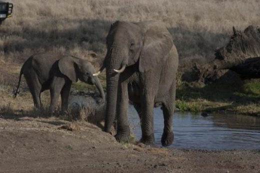 You'll be out in the bush less than 24 hours after you arrive in Africa!