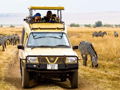 Tanzania travelers watch zebras from safari vehicle
