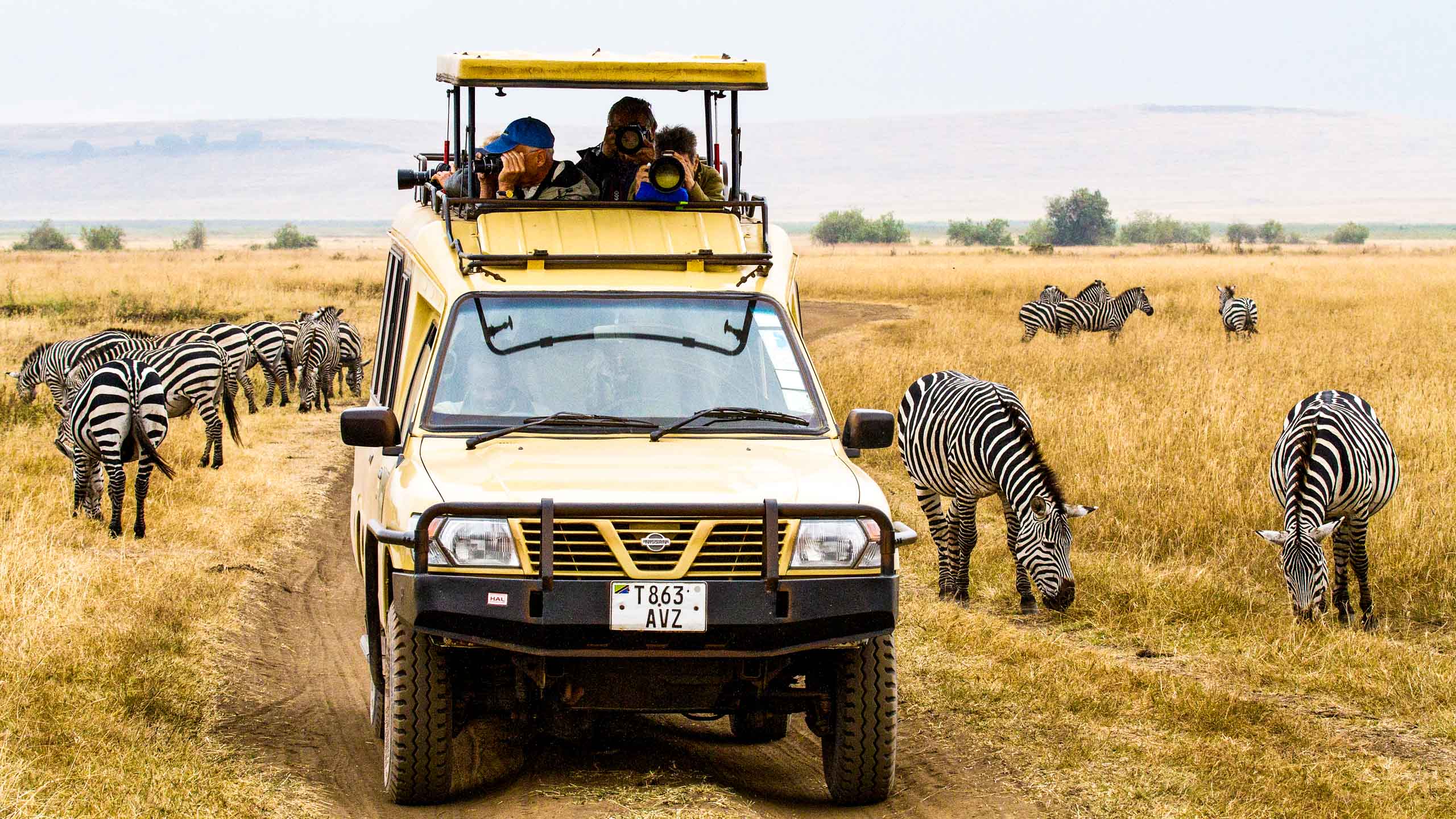 Tanzania travelers watch zebras from safari vehicle