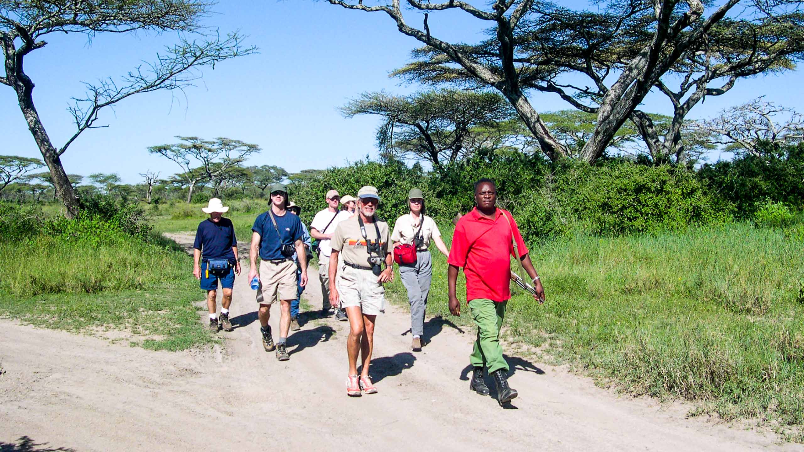 Safari groups walks along Tanzania road