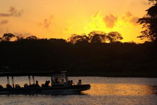 Explore the lush waterways of Tortuguero