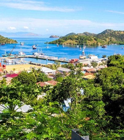 View overlooking Indonesia harbor town