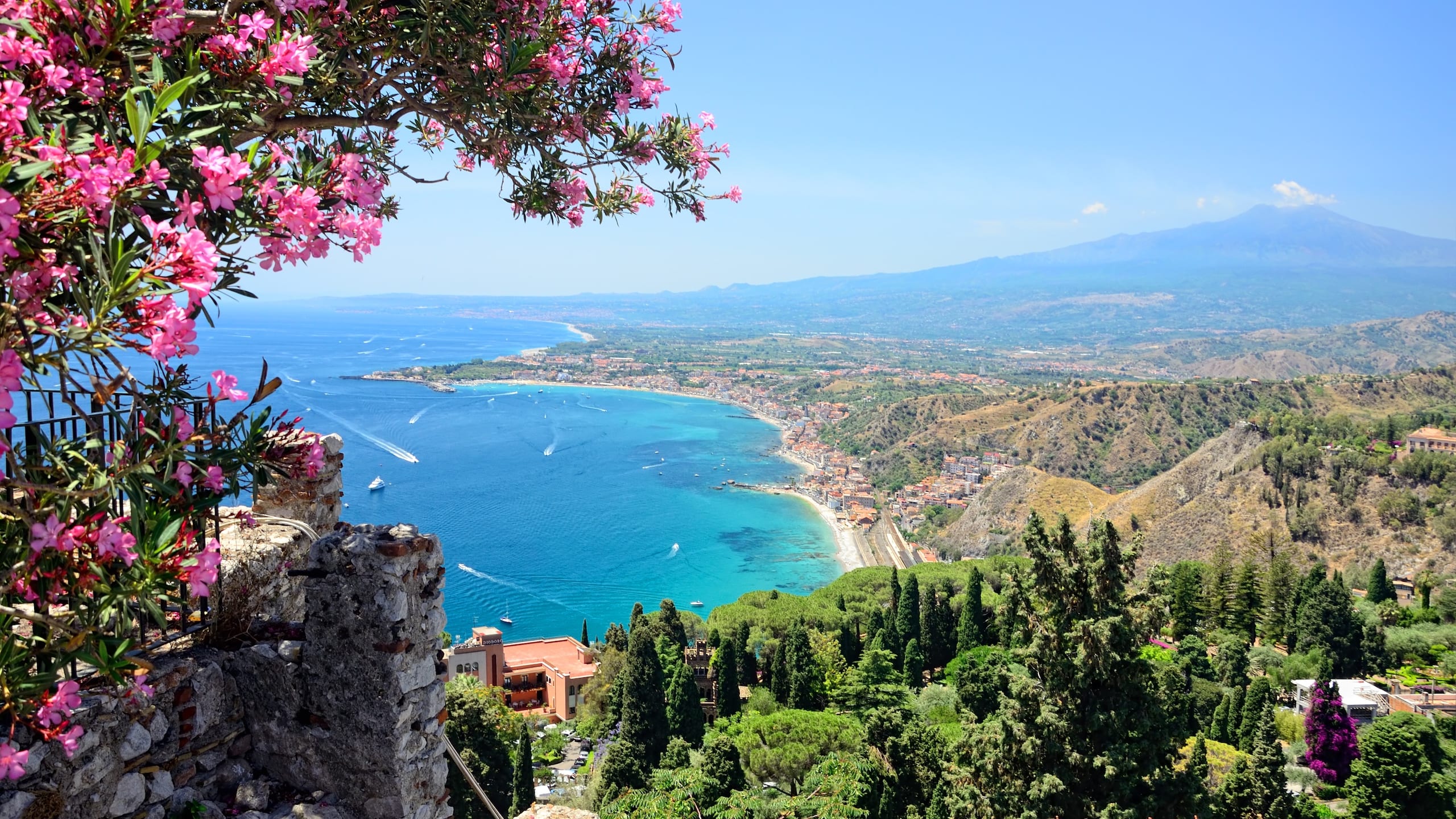 pink flowers and view of mt etna