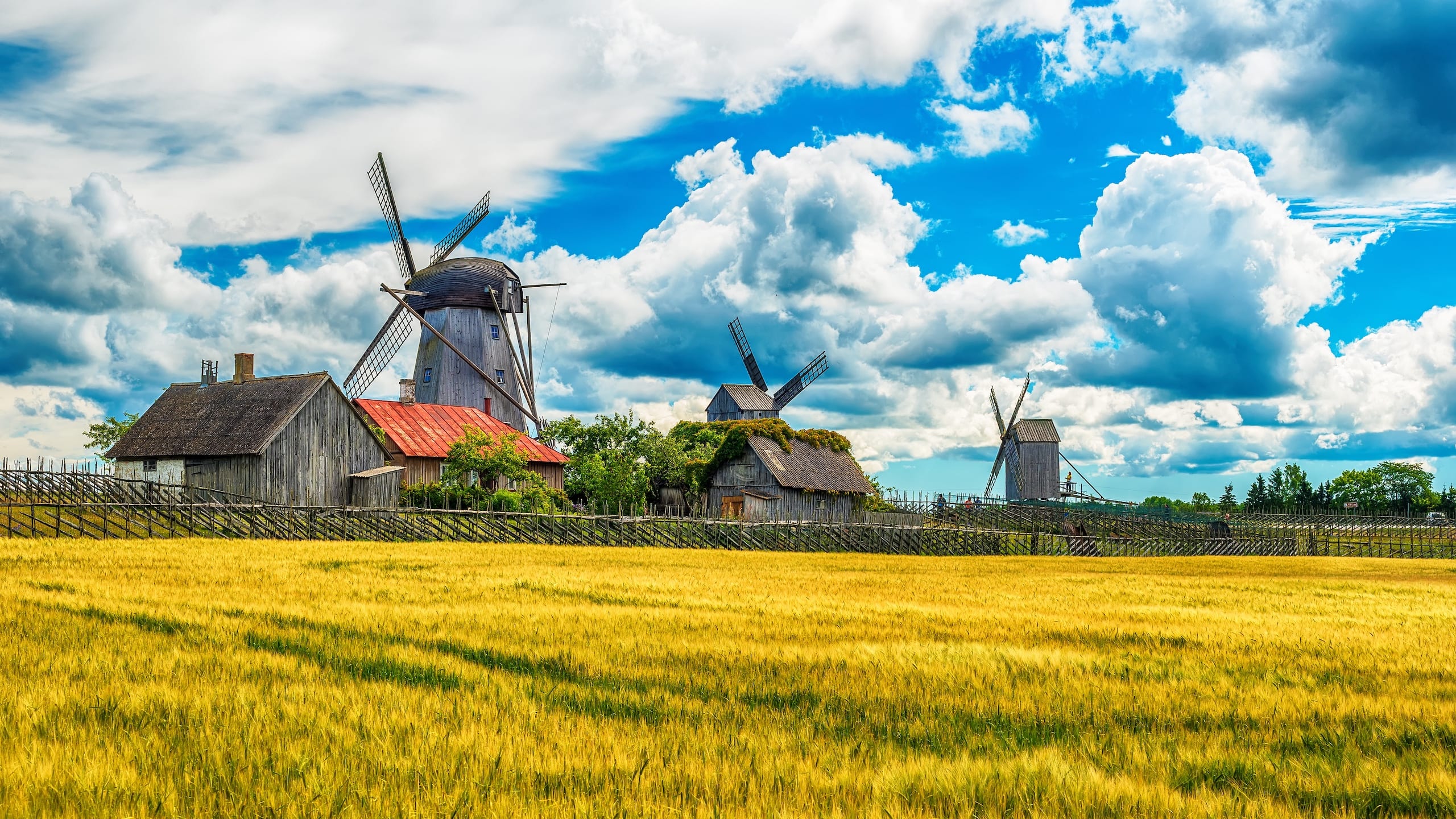 Windmills on Saaremaa Island in Estonia