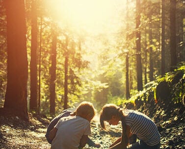 Kids in the forest