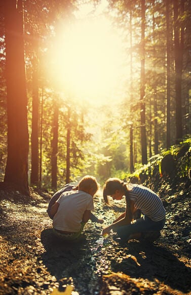 Kids in the forest