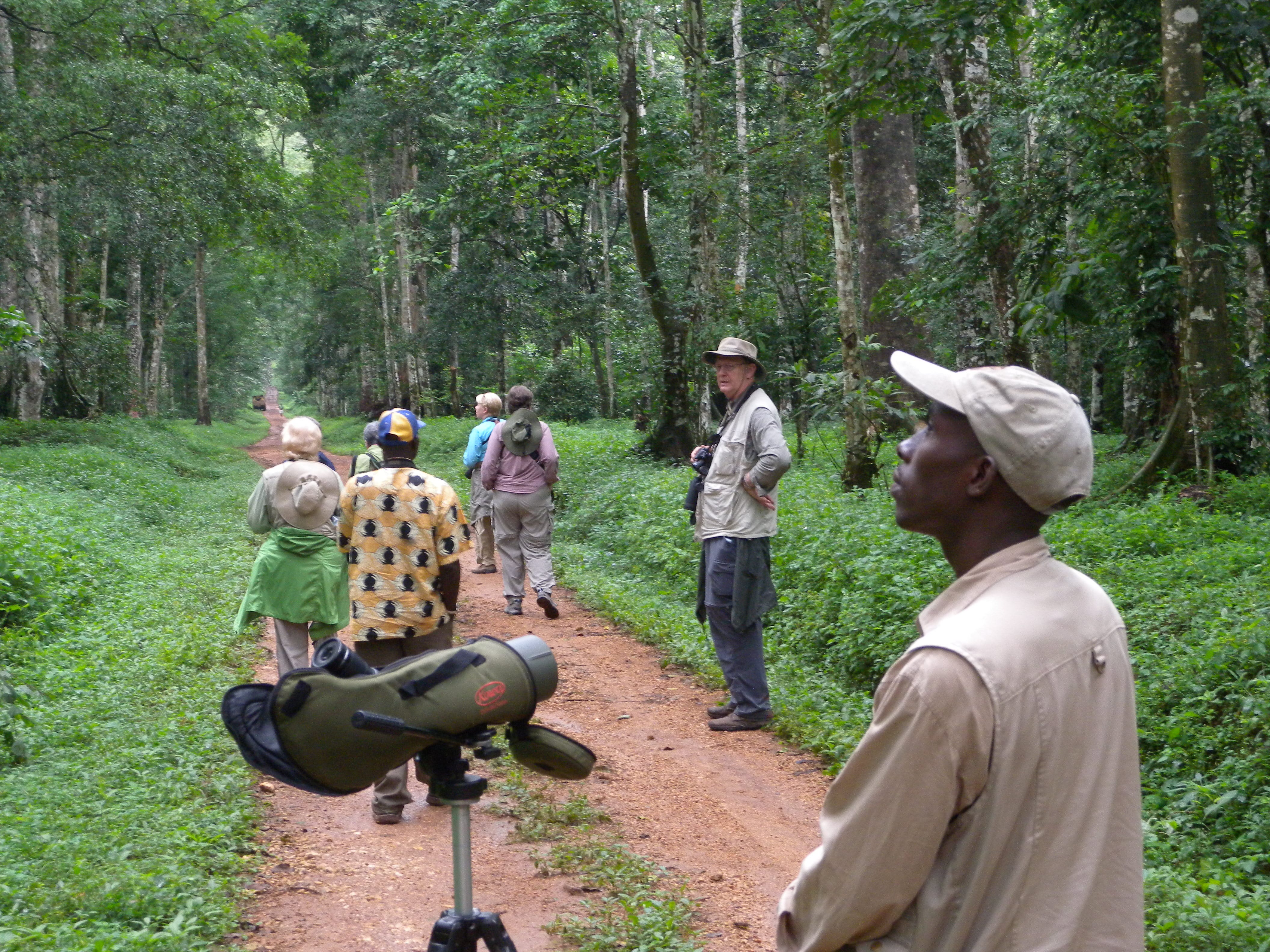 bird safari