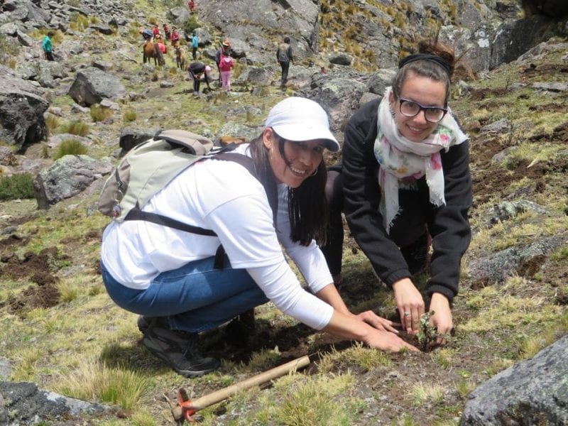 Two women plant a tree in Peru