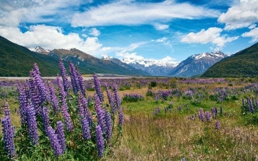 Visit the beautiful Arthur's Pass region today