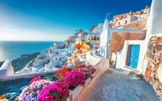 Santorini, Greece. Picturesq view of traditional cycladic Santorini houses on small street with flowers in foreground. Location: Oia village, Santorini, Greece. Vacations background.