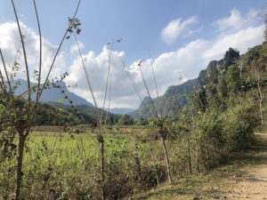 Laos countryside