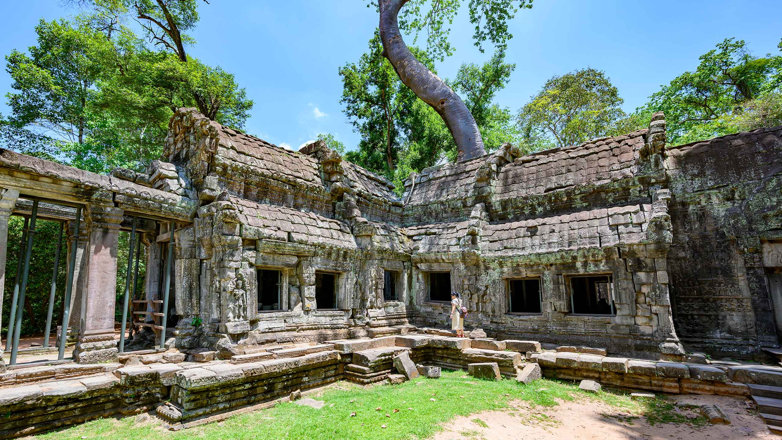 Ta Prohm temple at Angkor Wat, Cambodia