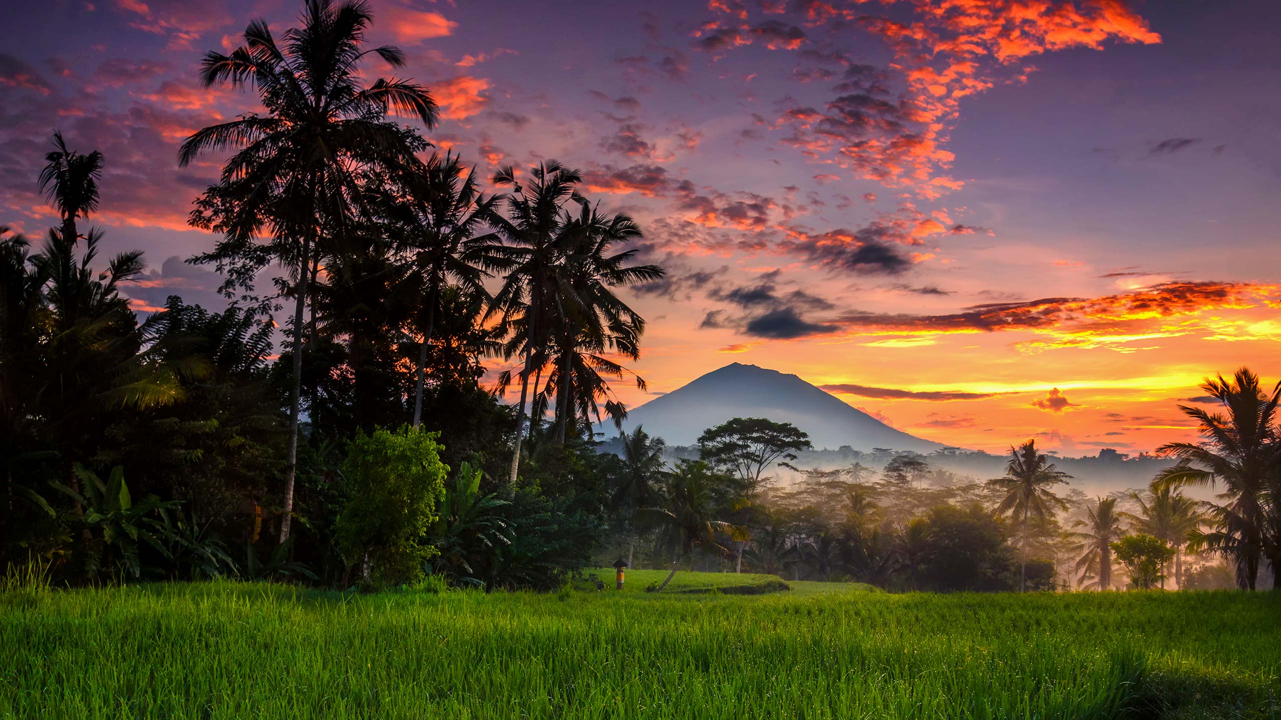 Morning at Ubud