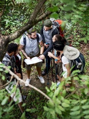 Group of people working together in forest