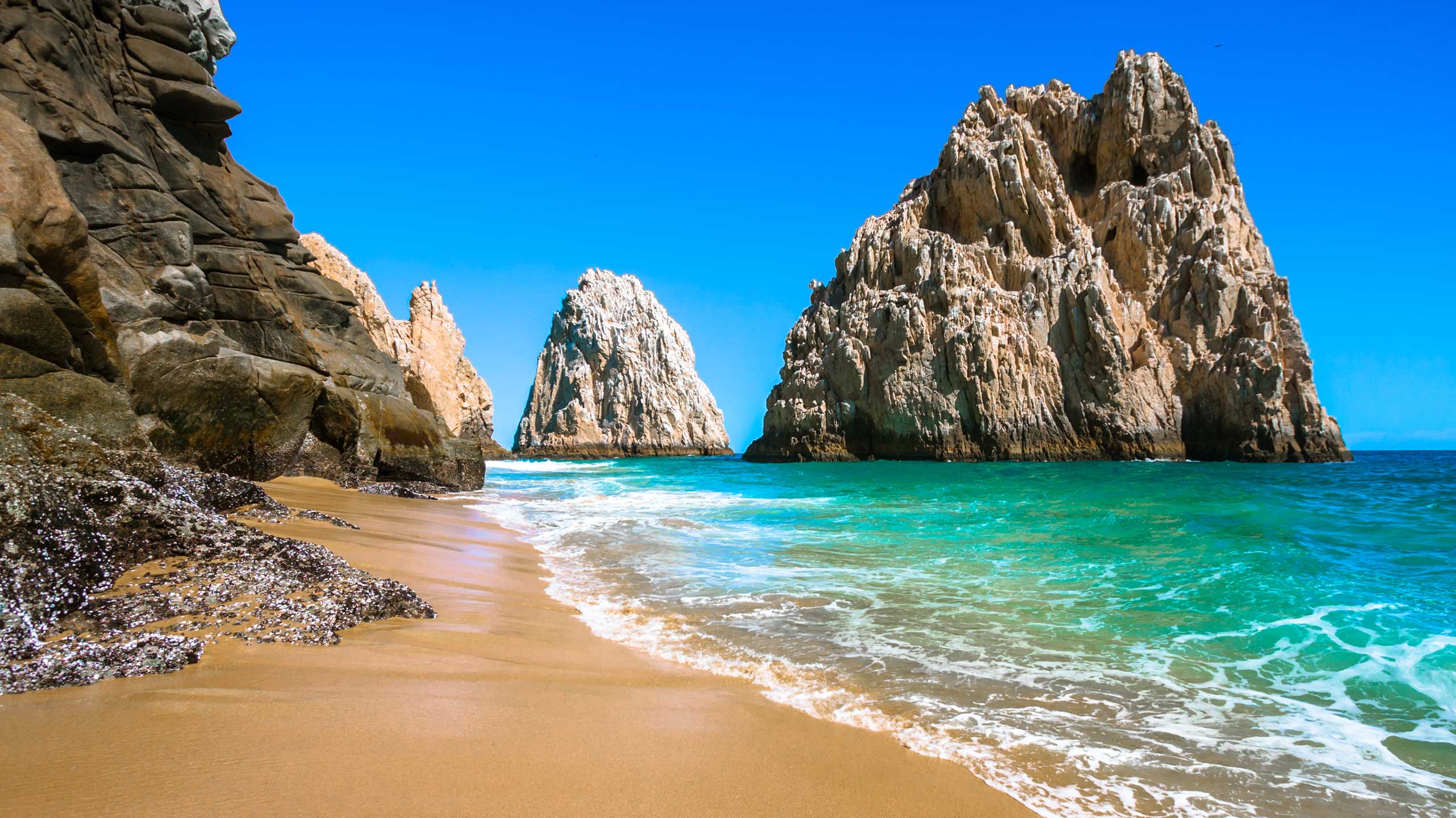 Rocky Beach in Cabo San Lucas