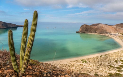 A beautiful and breathtaking Balandra Beach on the Gulf of California near La Paz Mexico on Baja California Sur.