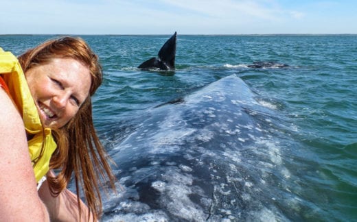 Whale encounter in a small boat