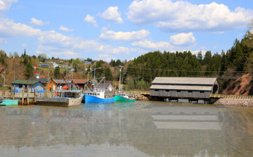 Small boats and covered bridge