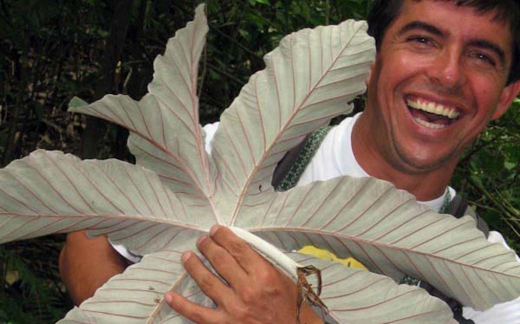 man and giant leaf