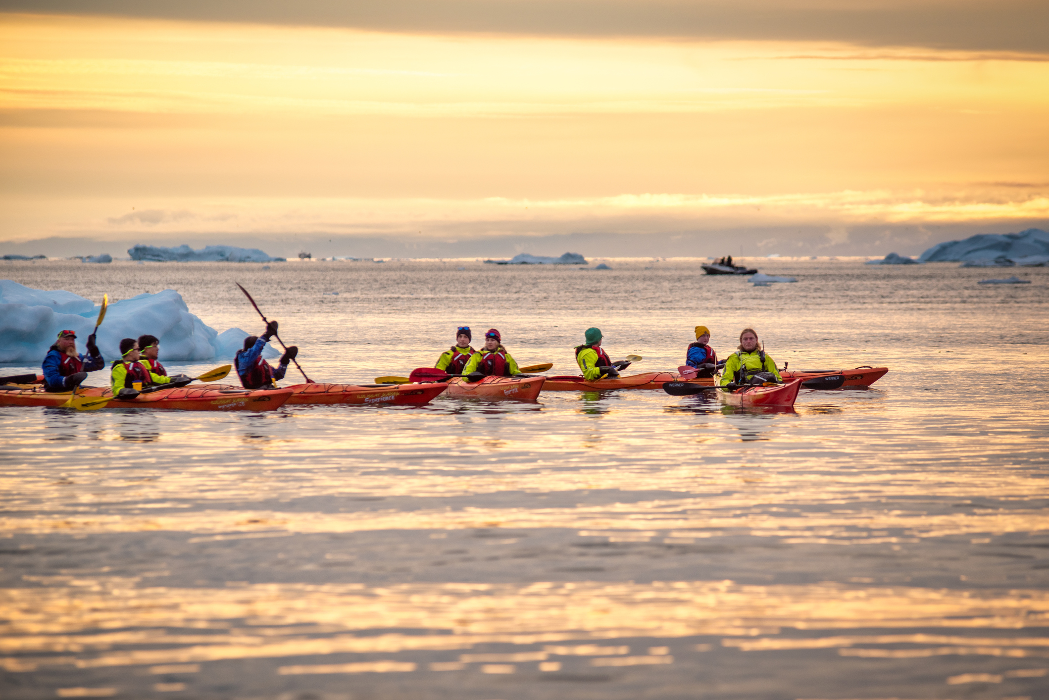 Shows waters in Ilulissat, Greenland, where a group of people are kayaking in between icebergs at Disko Bay, north of the Artic Circle near Ilulissat Icefjord at sunset.