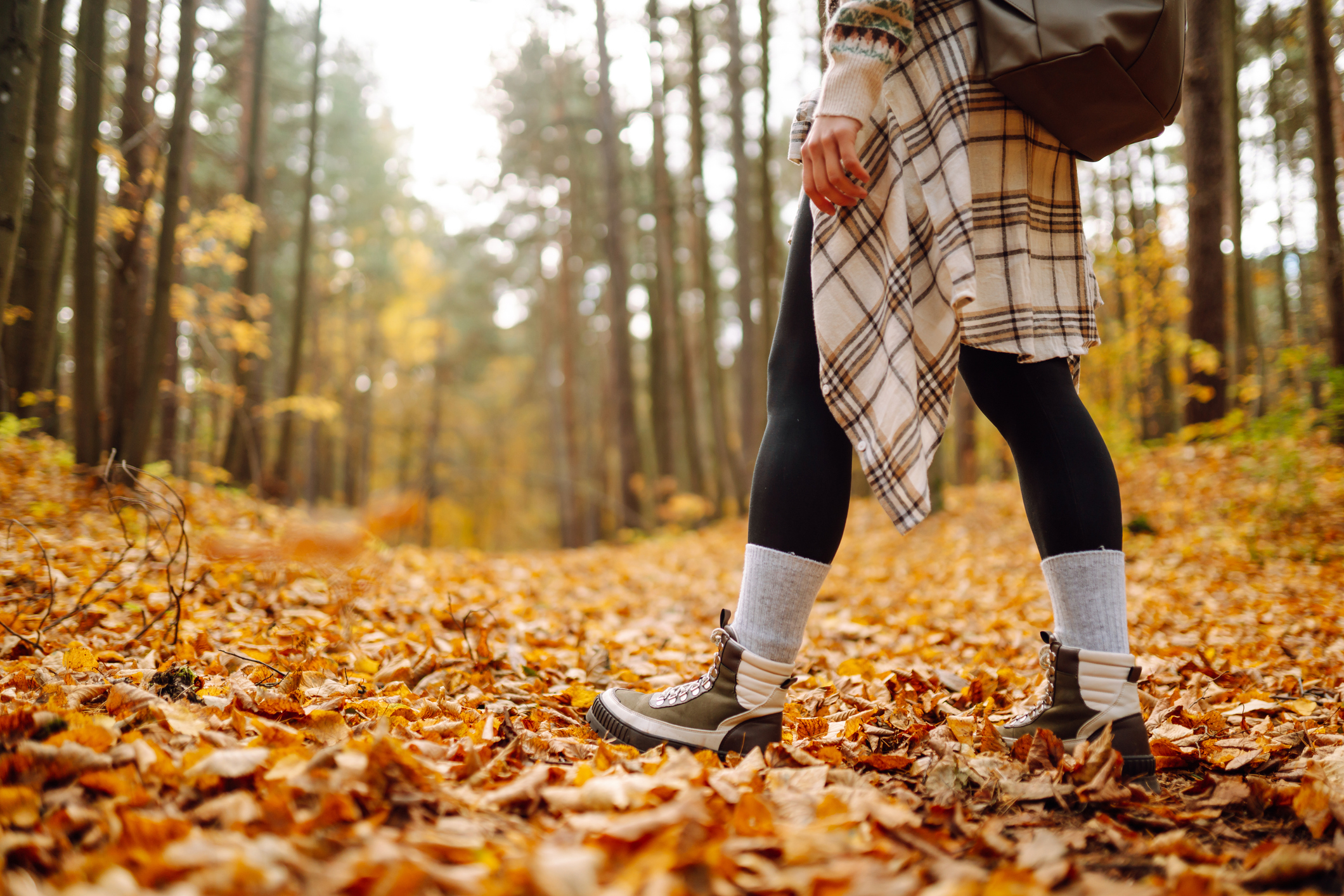 Hiker on forest trail in autumn