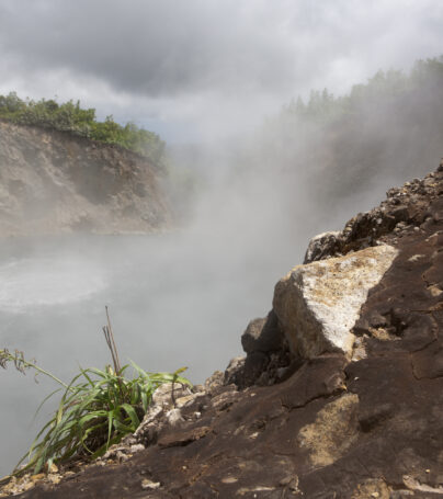 The Boiling Lake in Dominica which is heated by a dormant volcano. A Bromeliad plant sits on the edge of a cliff overlooking the lake which is barely seen through the rising steam.